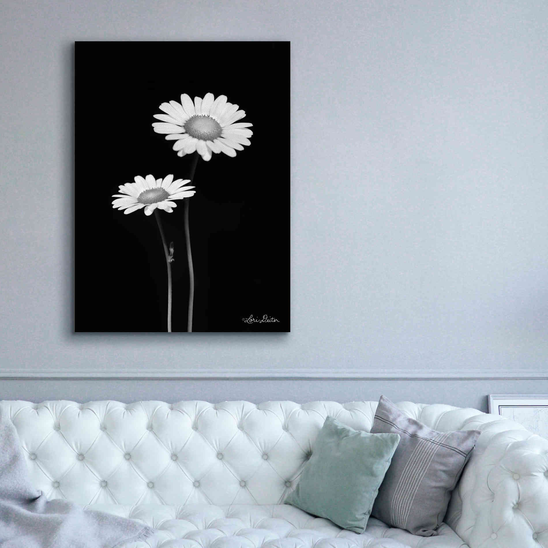 'Pair of Daisies' by Lori Deiter, Canvas Wall Art,40 x 54