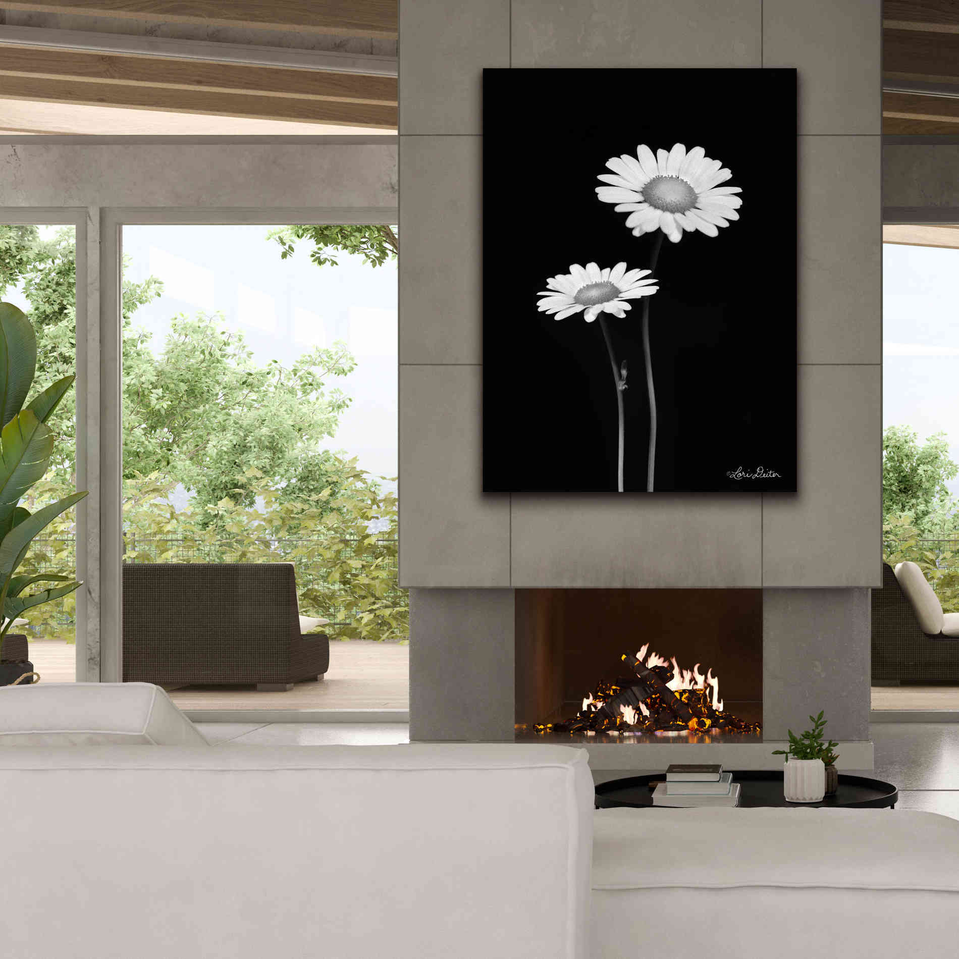 'Pair of Daisies' by Lori Deiter, Canvas Wall Art,40 x 54