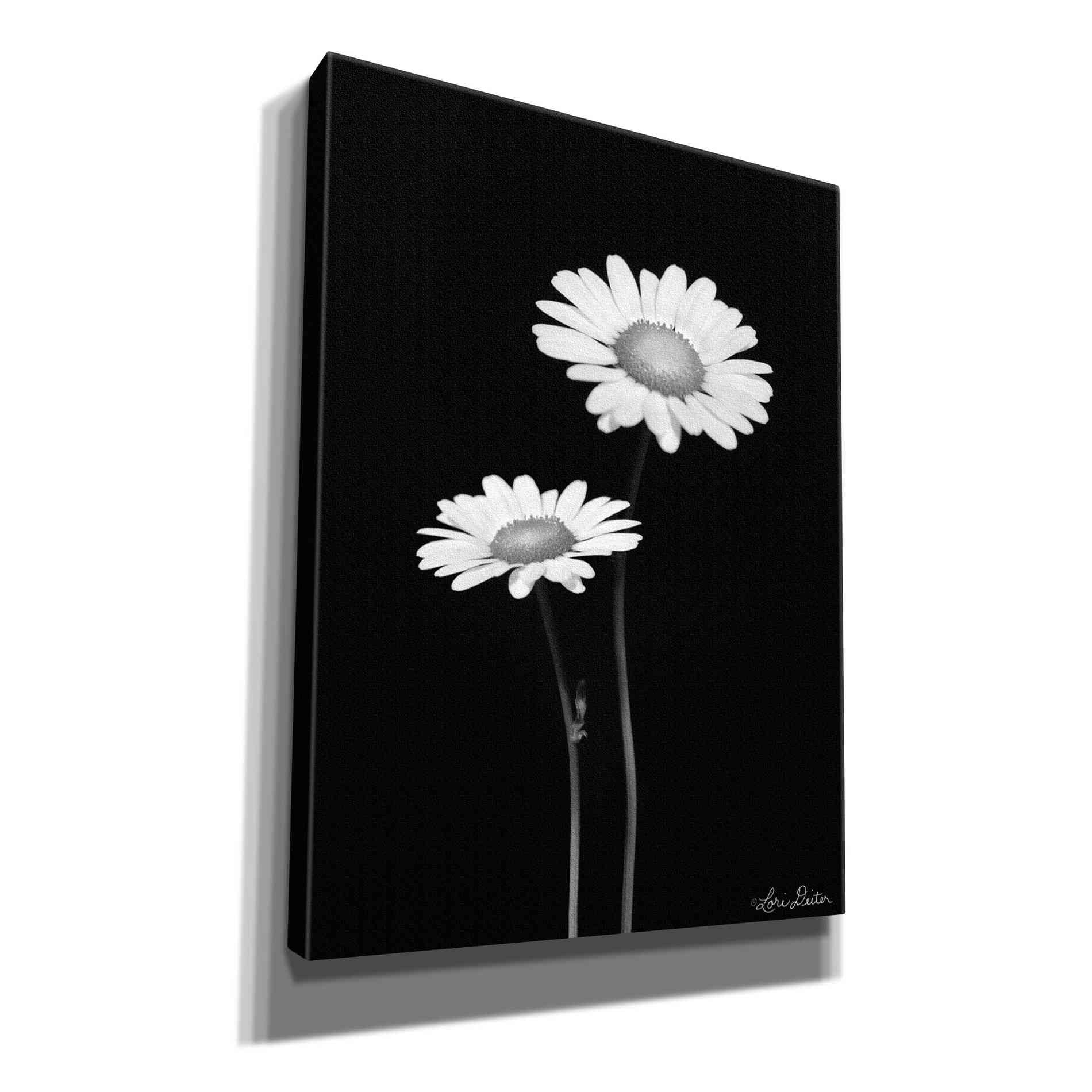 'Pair of Daisies' by Lori Deiter, Canvas Wall Art