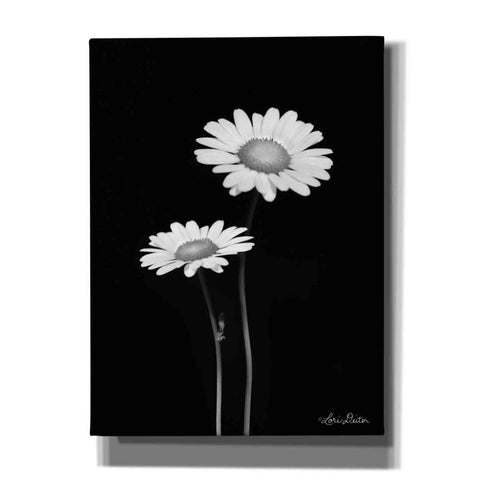 Image of 'Pair of Daisies' by Lori Deiter, Canvas Wall Art