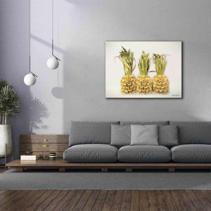 'Pineapples' by Lori Deiter, Canvas Wall Art,54 x 40