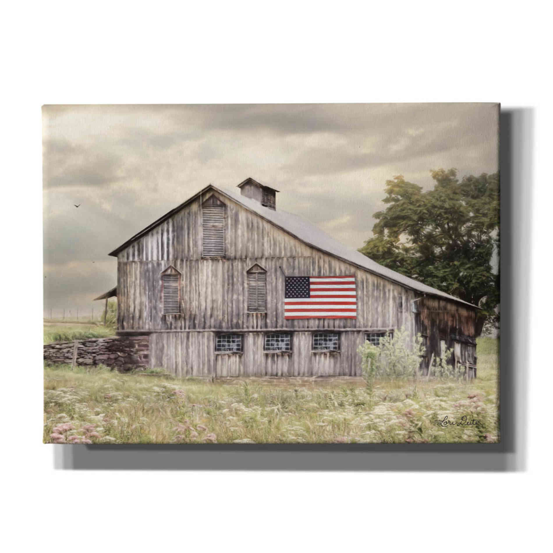 'Rural Virginia Barn' by Lori Deiter, Canvas Wall Art