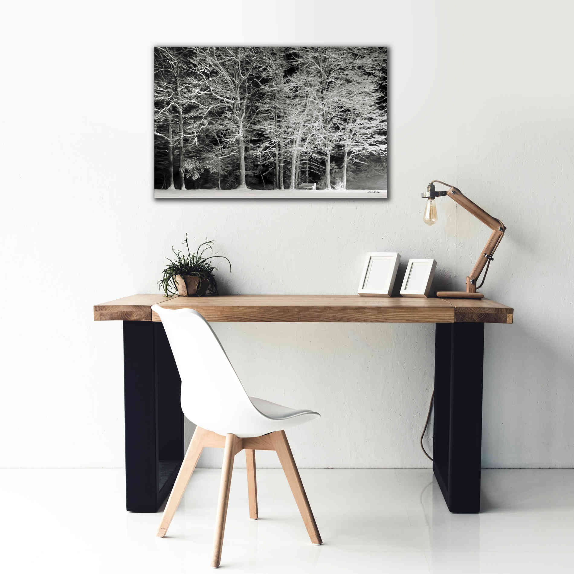 'Snowy Trees' by Lori Deiter, Canvas Wall Art,40 x 26