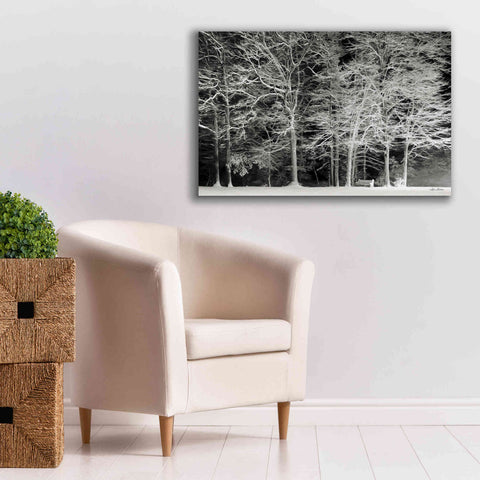 Image of 'Snowy Trees' by Lori Deiter, Canvas Wall Art,40 x 26