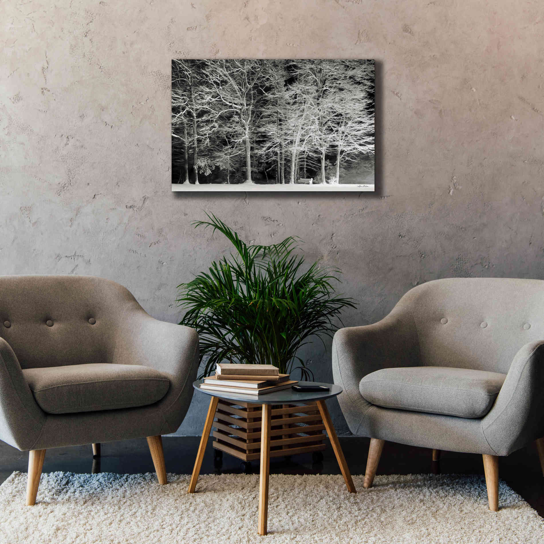 'Snowy Trees' by Lori Deiter, Canvas Wall Art,40 x 26