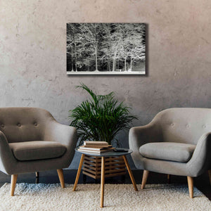 'Snowy Trees' by Lori Deiter, Canvas Wall Art,40 x 26