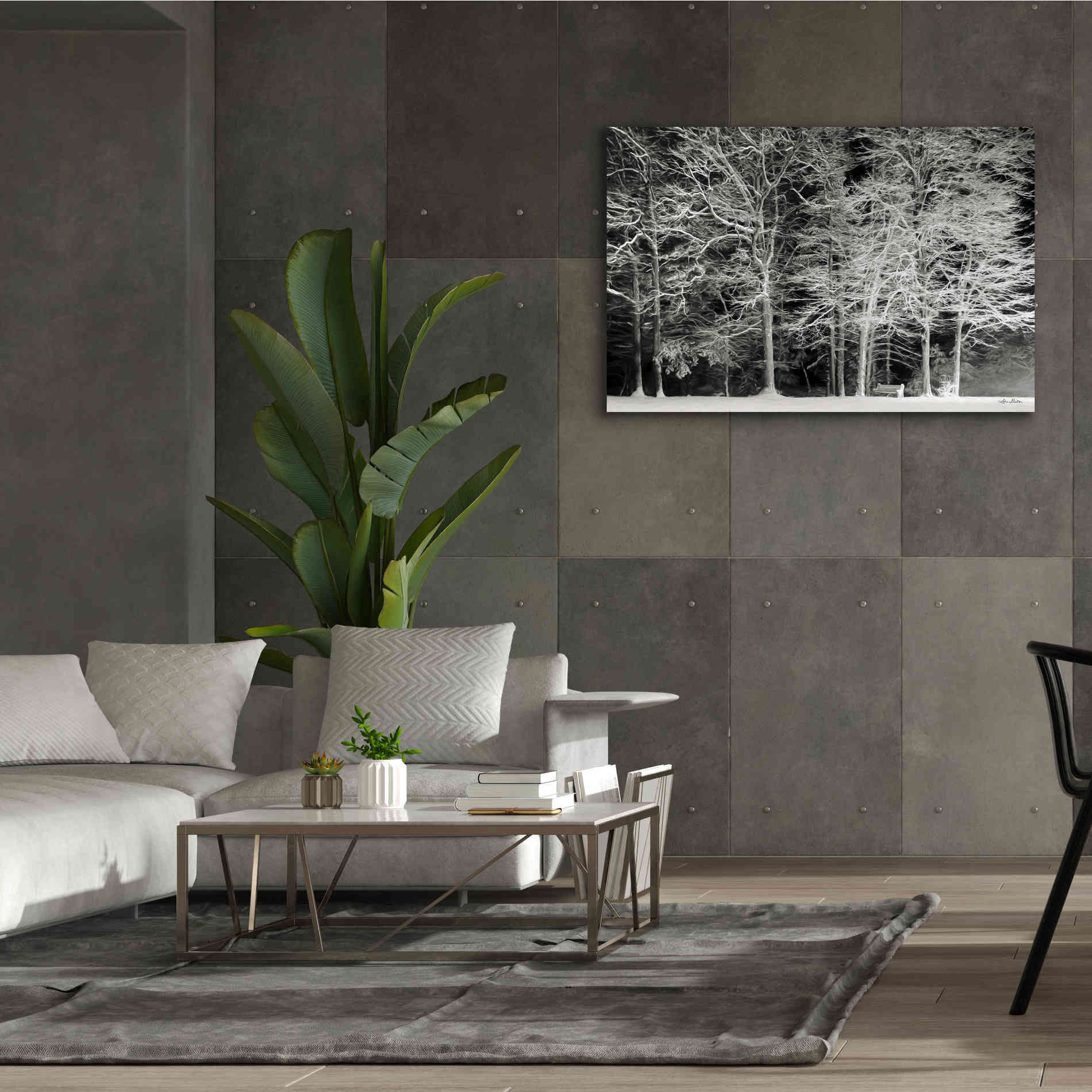 'Snowy Trees' by Lori Deiter, Canvas Wall Art,60 x 40