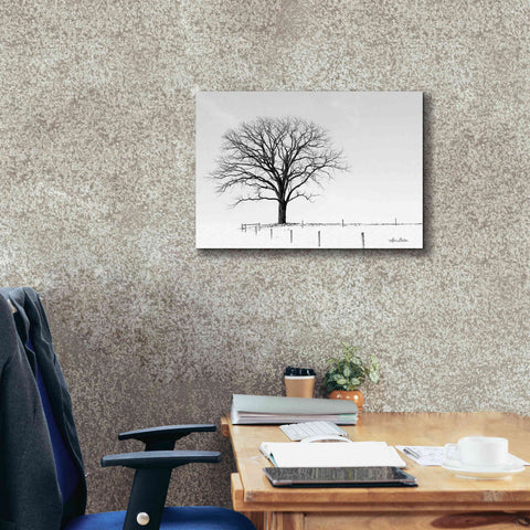 Image of 'Bare' by Lori Deiter, Canvas Wall Art,26 x 18