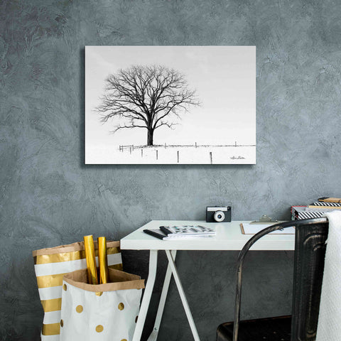 Image of 'Bare' by Lori Deiter, Canvas Wall Art,26 x 18