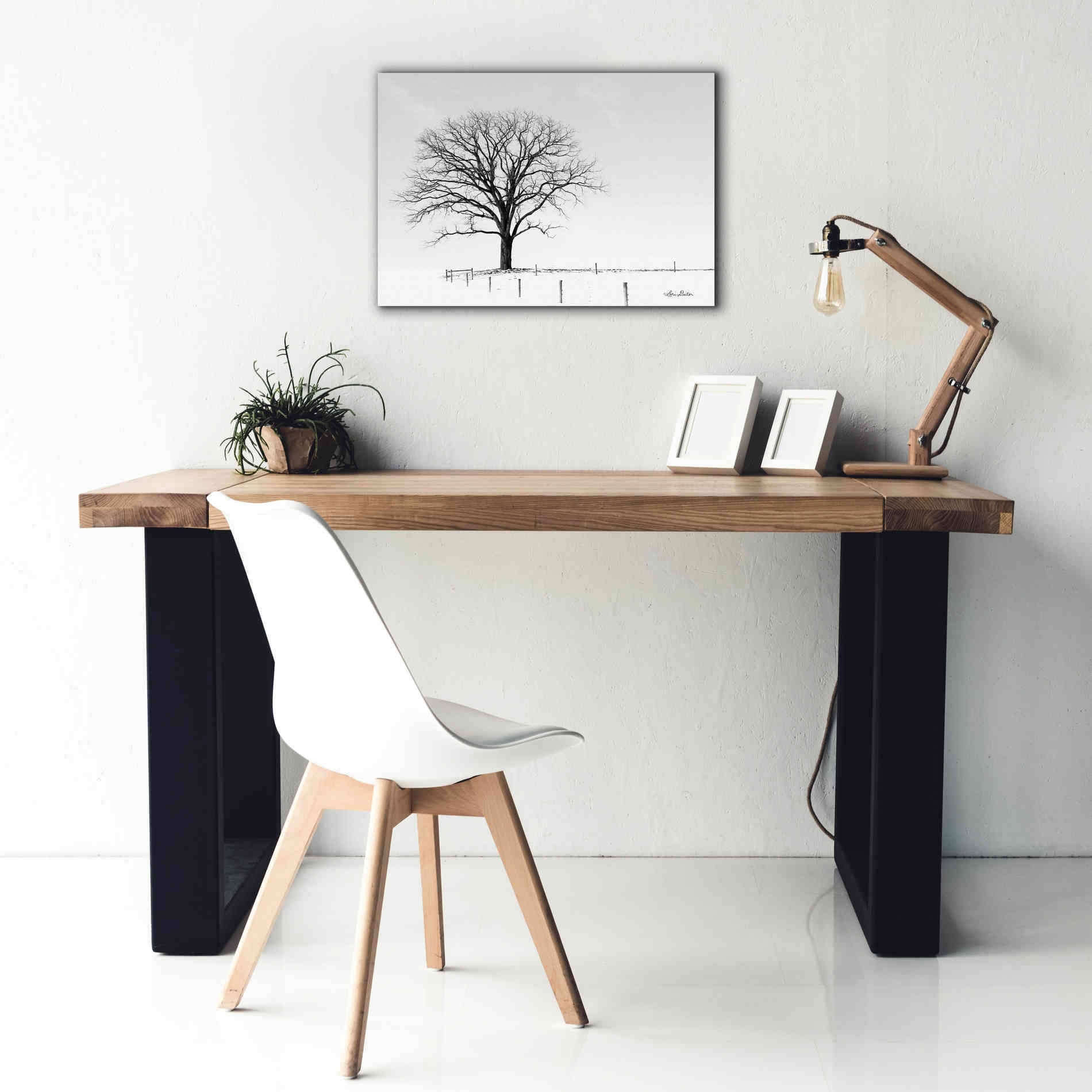 'Bare' by Lori Deiter, Canvas Wall Art,26 x 18