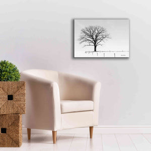 'Bare' by Lori Deiter, Canvas Wall Art,26 x 18