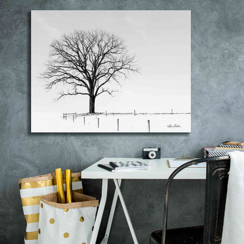 Image of 'Bare' by Lori Deiter, Canvas Wall Art,34 x 26
