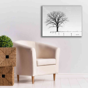 'Bare' by Lori Deiter, Canvas Wall Art,34 x 26