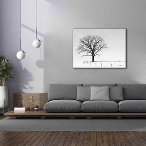 'Bare' by Lori Deiter, Canvas Wall Art,54 x 40