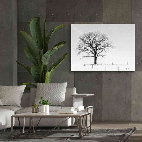 Image of 'Bare' by Lori Deiter, Canvas Wall Art,54 x 40
