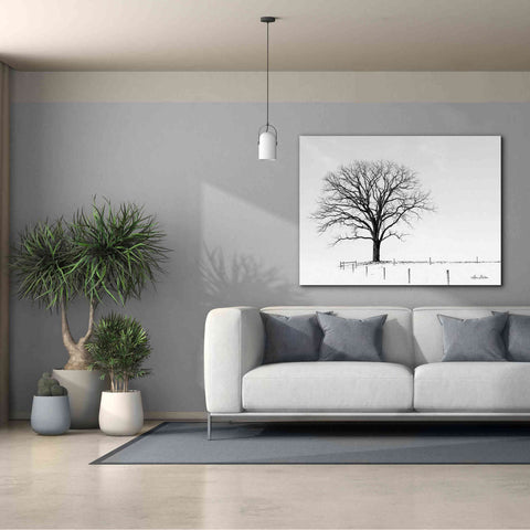 Image of 'Bare' by Lori Deiter, Canvas Wall Art,54 x 40