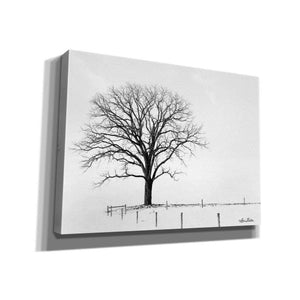 'Bare' by Lori Deiter, Canvas Wall Art