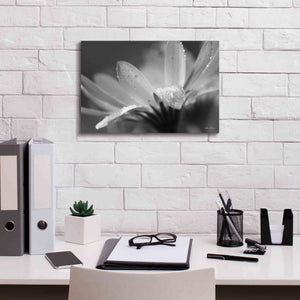 'Daisy' by Lori Deiter, Canvas Wall Art,18 x 12