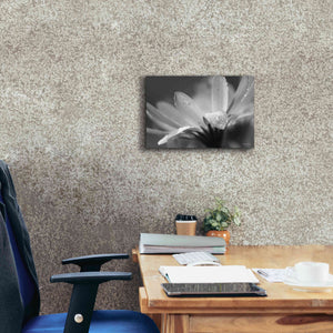 'Daisy' by Lori Deiter, Canvas Wall Art,18 x 12