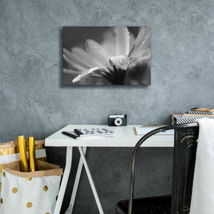 'Daisy' by Lori Deiter, Canvas Wall Art,18 x 12
