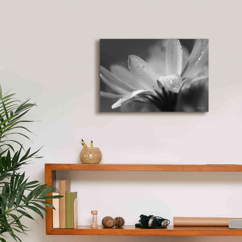 Image of 'Daisy' by Lori Deiter, Canvas Wall Art,18 x 12