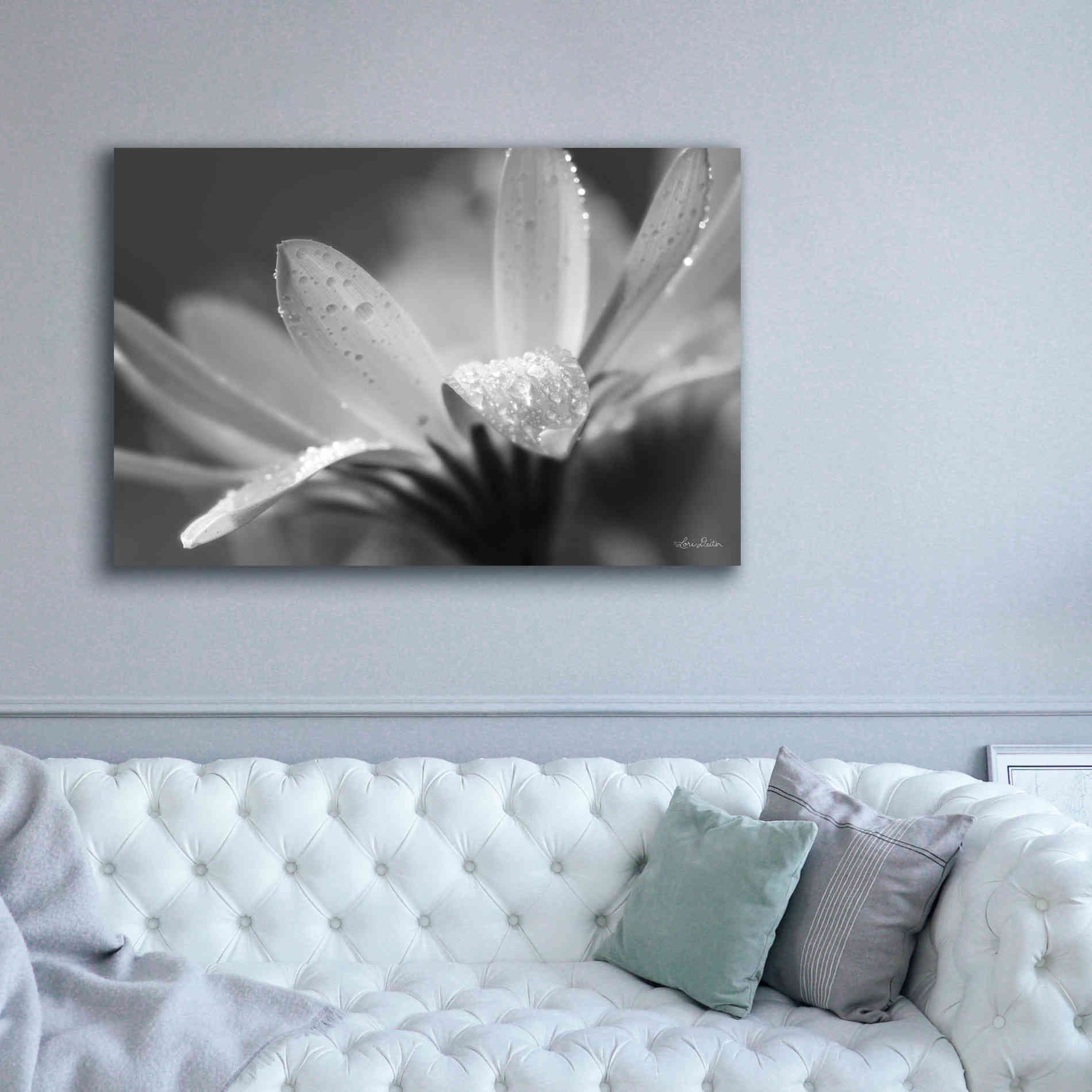 'Daisy' by Lori Deiter, Canvas Wall Art,60 x 40