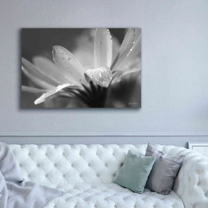 'Daisy' by Lori Deiter, Canvas Wall Art,60 x 40