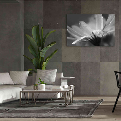 Image of 'Daisy' by Lori Deiter, Canvas Wall Art,60 x 40