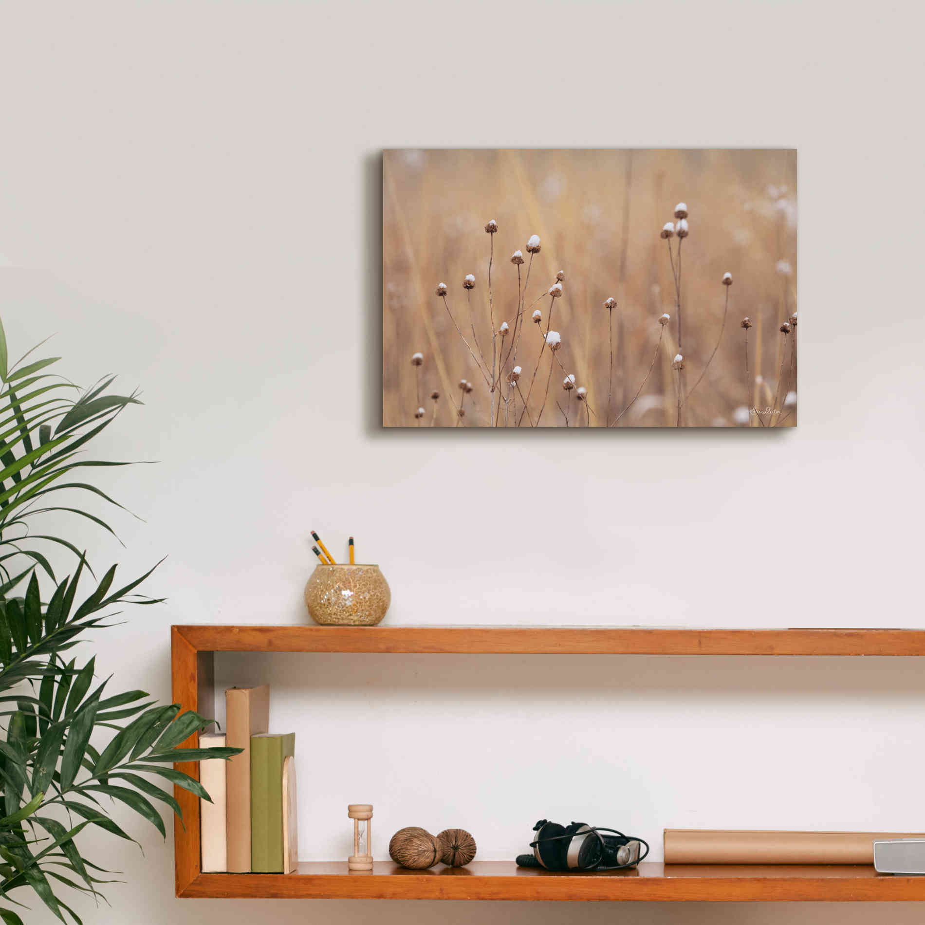 'Snow Capped Wildflowers' by Lori Deiter, Canvas Wall Art,18 x 12
