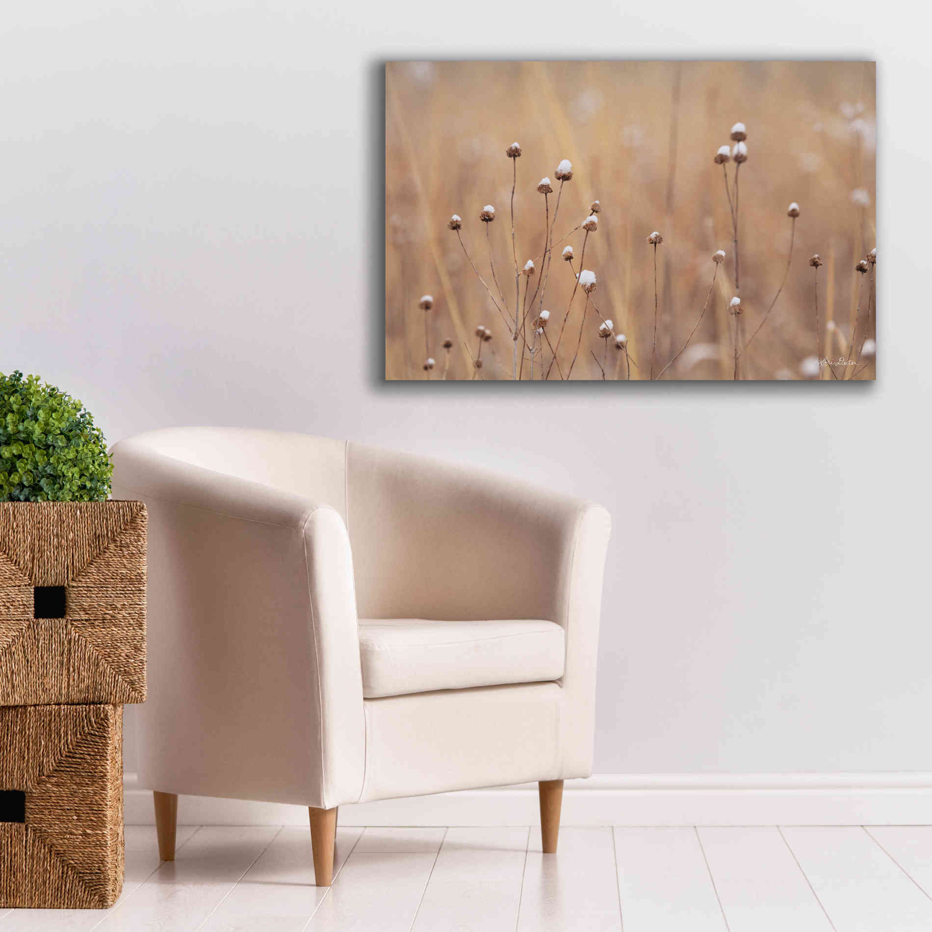 'Snow Capped Wildflowers' by Lori Deiter, Canvas Wall Art,40 x 26
