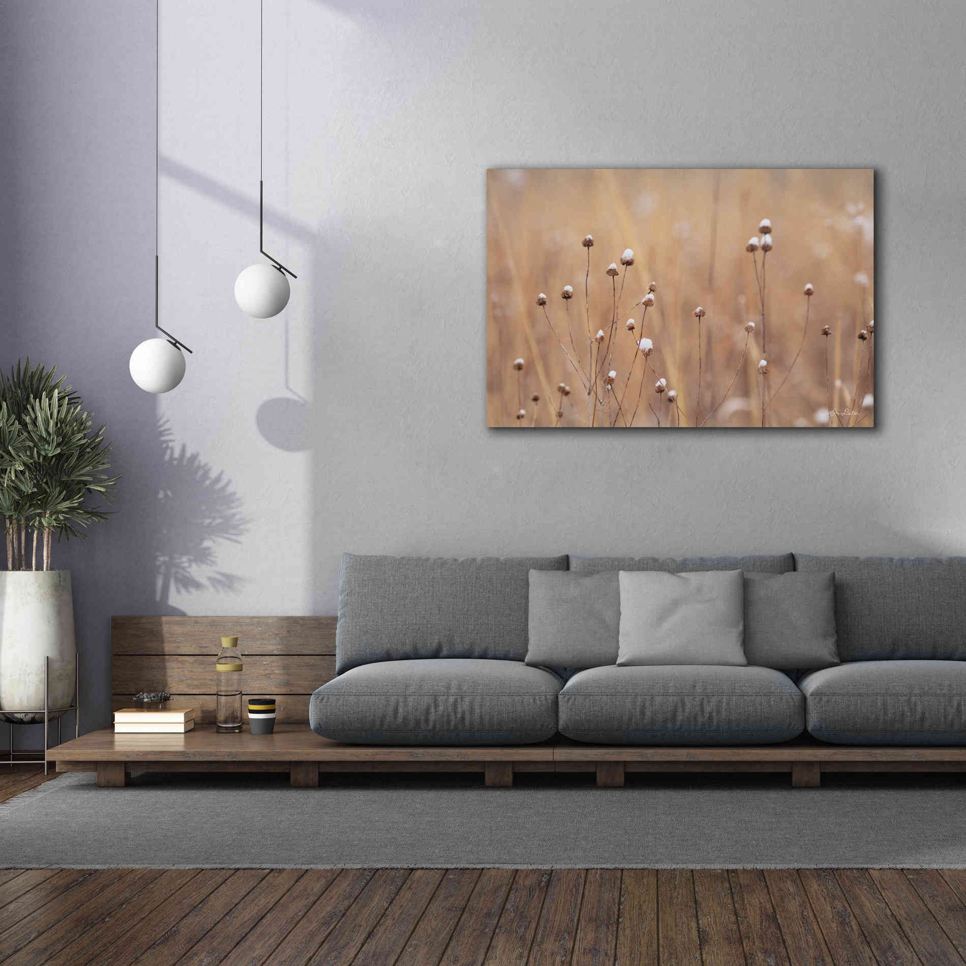 'Snow Capped Wildflowers' by Lori Deiter, Canvas Wall Art,60 x 40