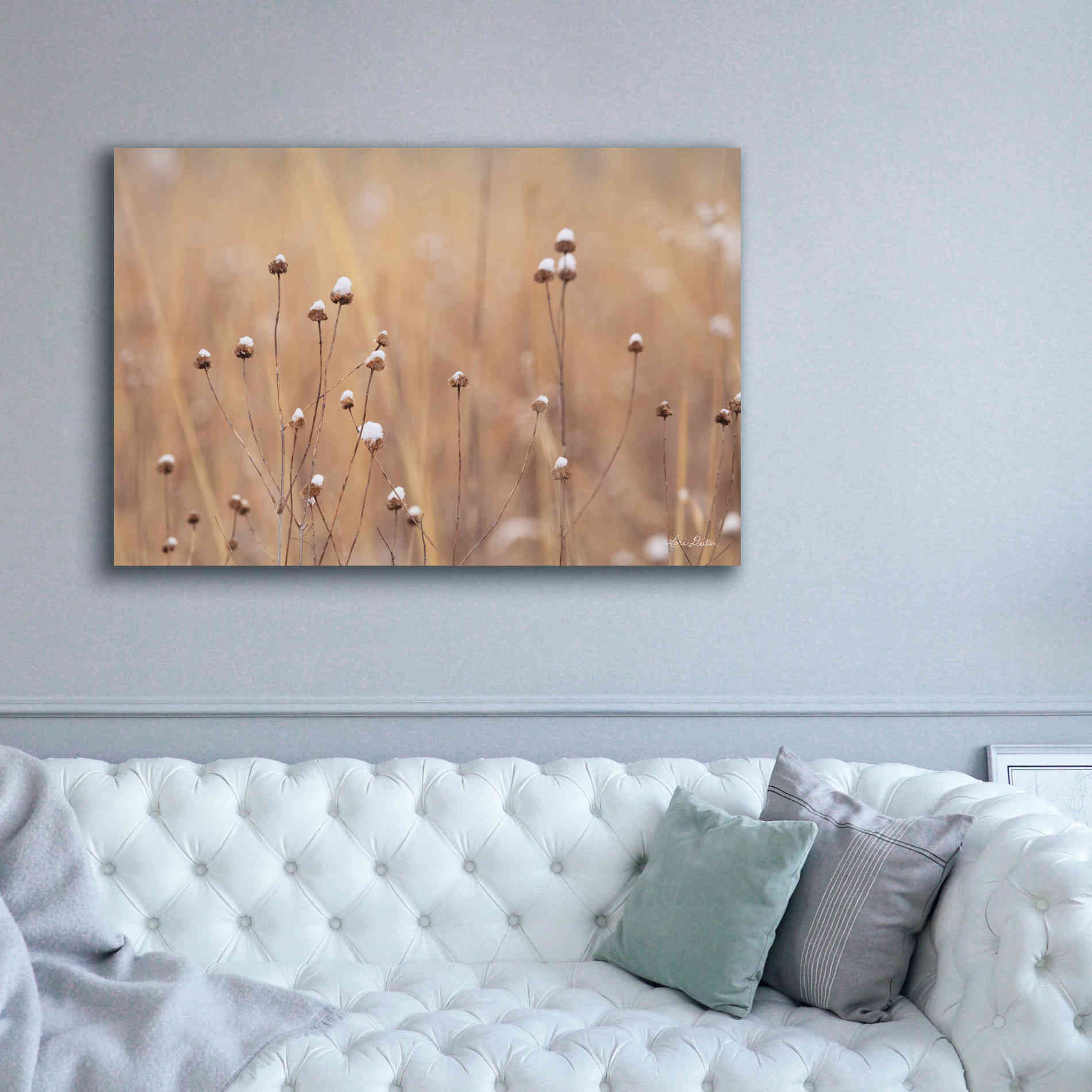 'Snow Capped Wildflowers' by Lori Deiter, Canvas Wall Art,60 x 40