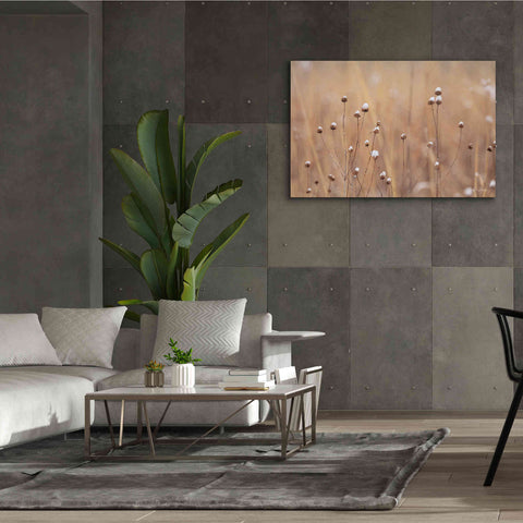 Image of 'Snow Capped Wildflowers' by Lori Deiter, Canvas Wall Art,60 x 40