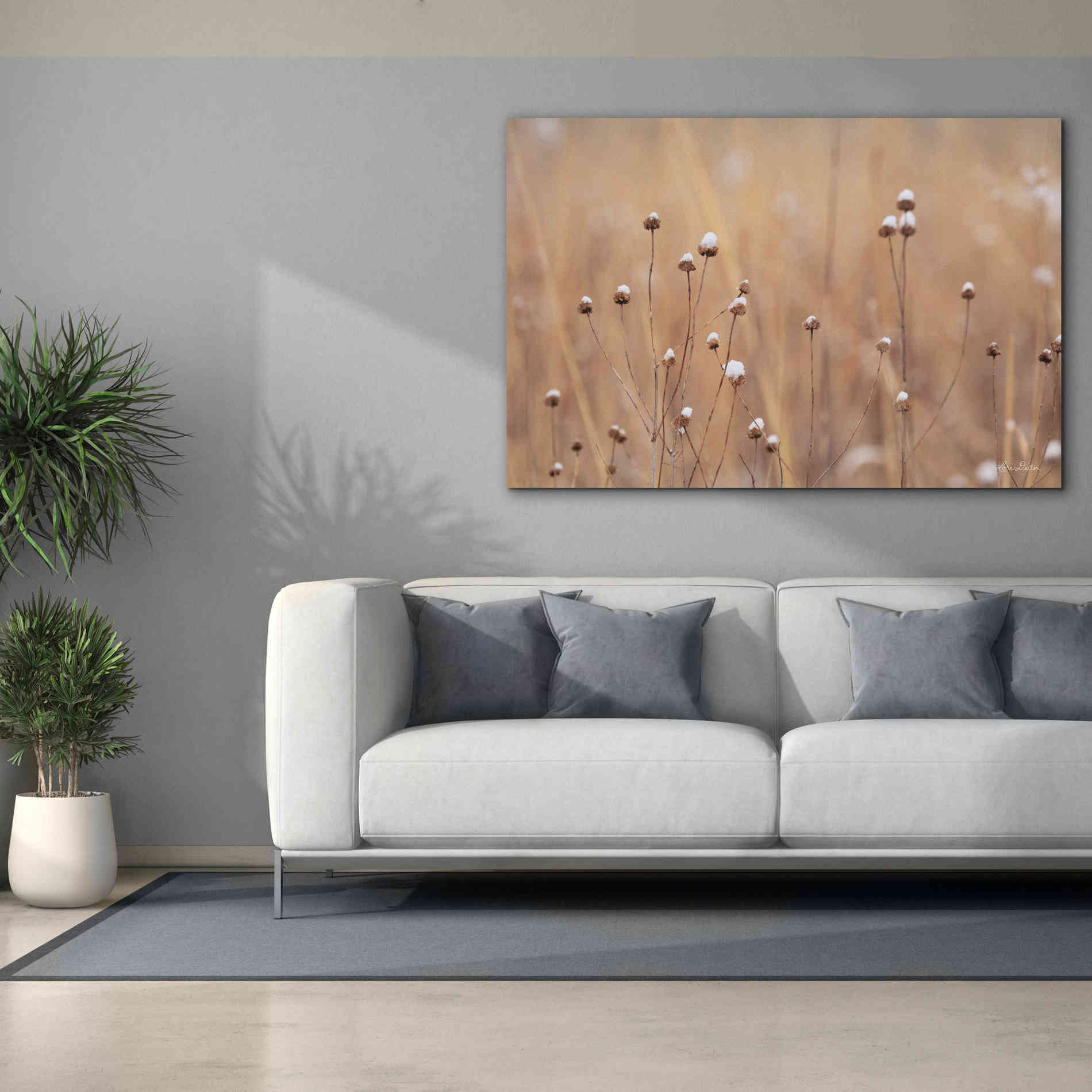 'Snow Capped Wildflowers' by Lori Deiter, Canvas Wall Art,60 x 40