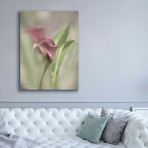 Image of 'Pink Calla Lily' by Lori Deiter, Canvas Wall Art,40 x 54