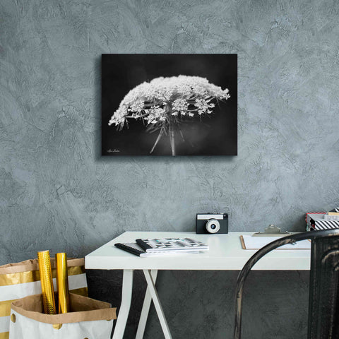 Image of 'Queen Anne's Lace' by Lori Deiter, Canvas Wall Art,16 x 12