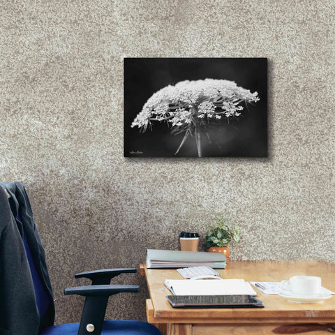 Image of 'Queen Anne's Lace' by Lori Deiter, Canvas Wall Art,26 x 18