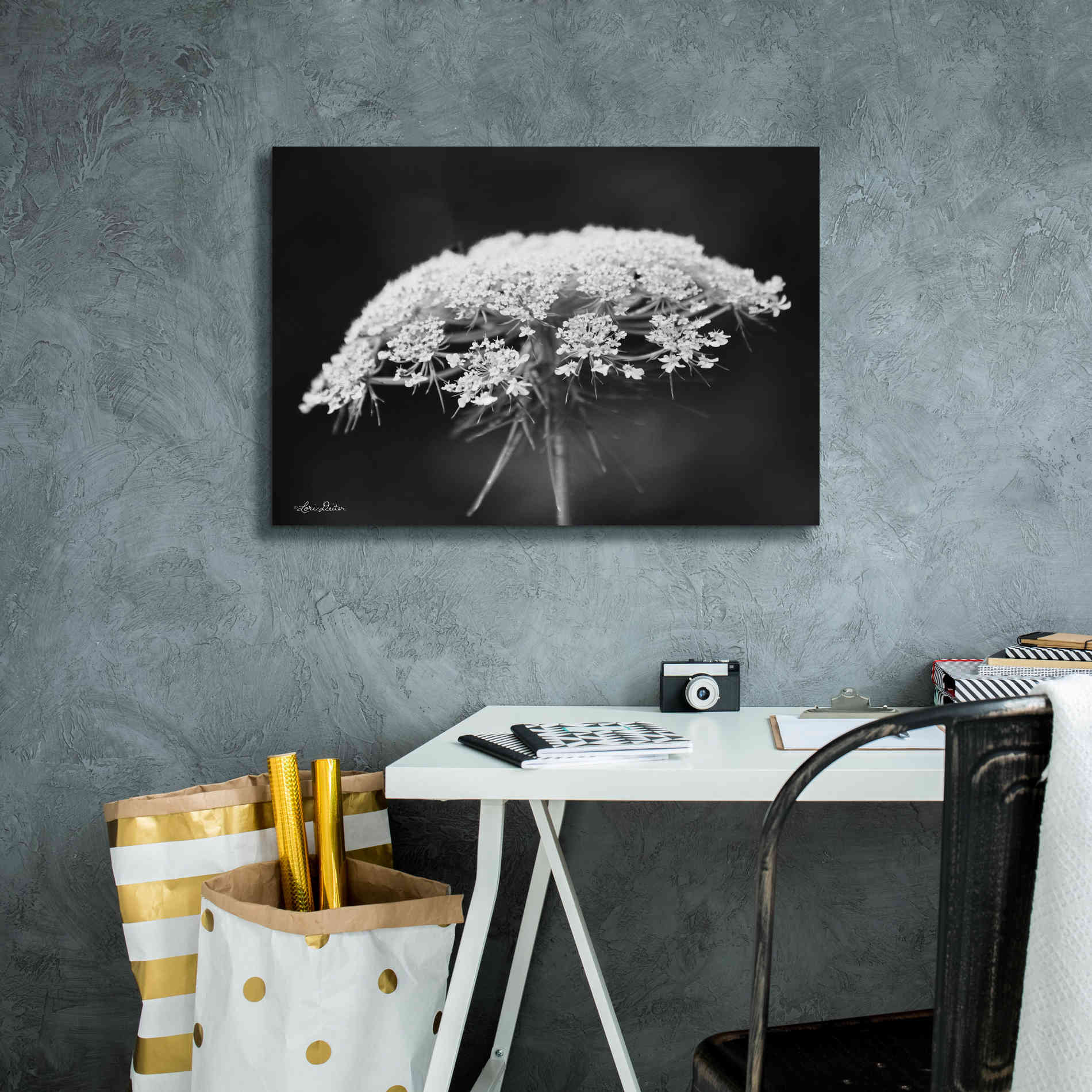 'Queen Anne's Lace' by Lori Deiter, Canvas Wall Art,26 x 18