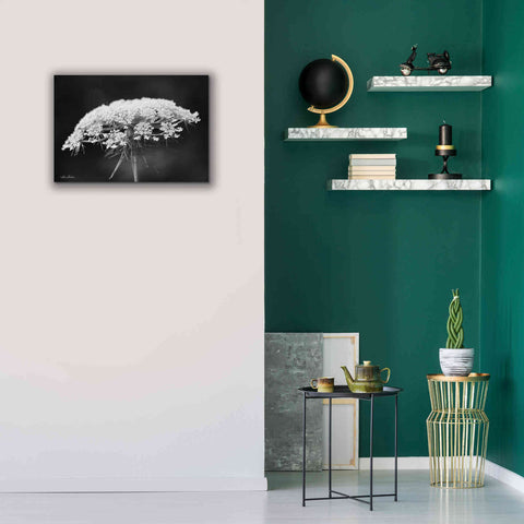 Image of 'Queen Anne's Lace' by Lori Deiter, Canvas Wall Art,26 x 18