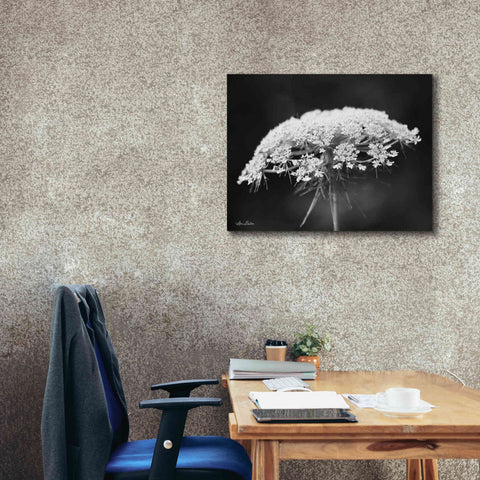 Image of 'Queen Anne's Lace' by Lori Deiter, Canvas Wall Art,34 x 26