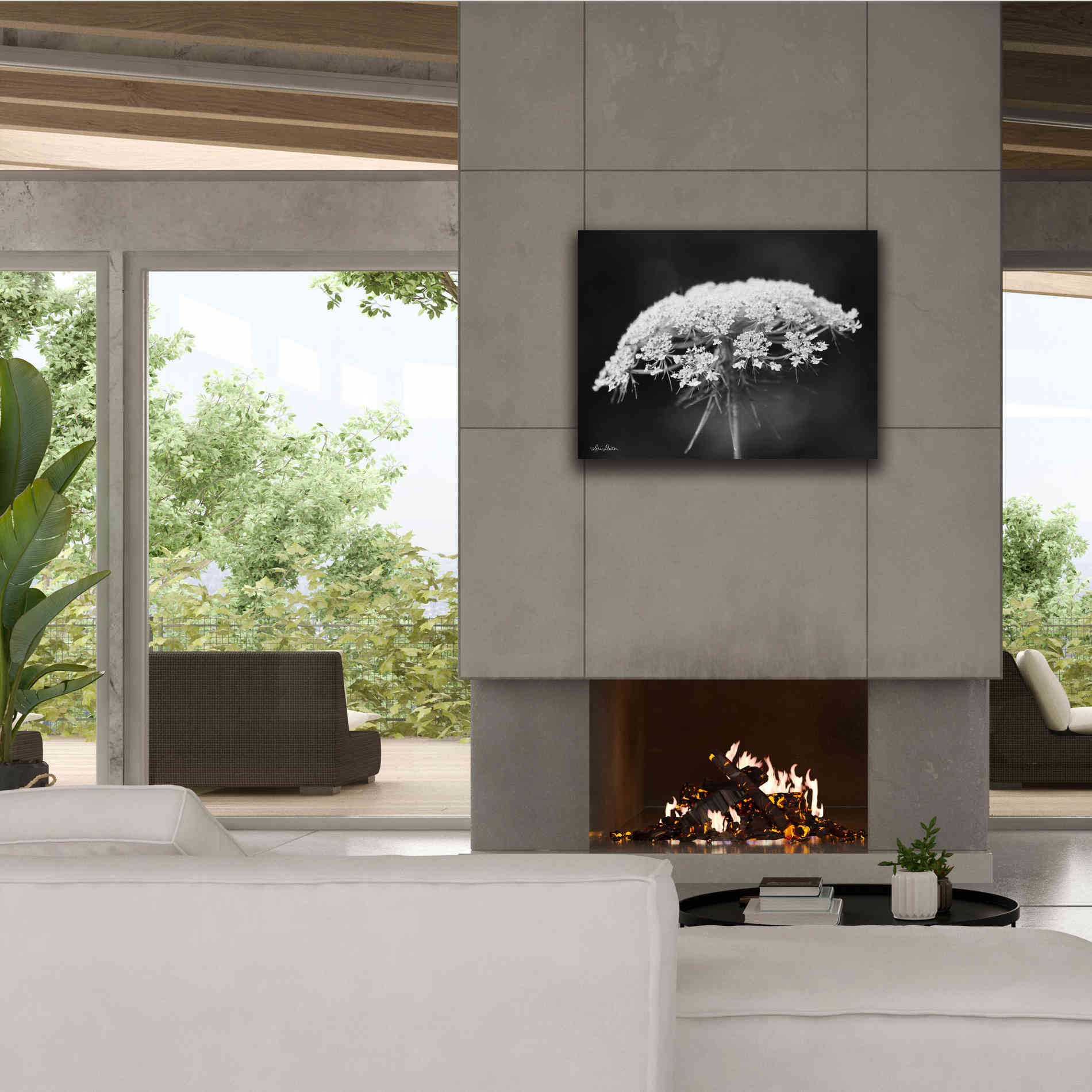 'Queen Anne's Lace' by Lori Deiter, Canvas Wall Art,34 x 26