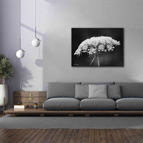 Image of 'Queen Anne's Lace' by Lori Deiter, Canvas Wall Art,54 x 40