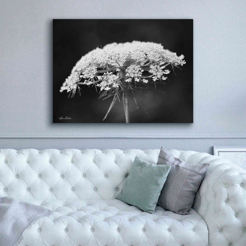 Image of 'Queen Anne's Lace' by Lori Deiter, Canvas Wall Art,54 x 40