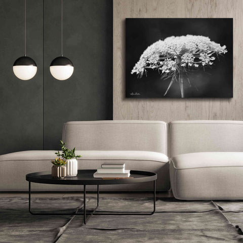 Image of 'Queen Anne's Lace' by Lori Deiter, Canvas Wall Art,54 x 40