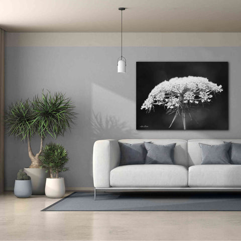 Image of 'Queen Anne's Lace' by Lori Deiter, Canvas Wall Art,54 x 40