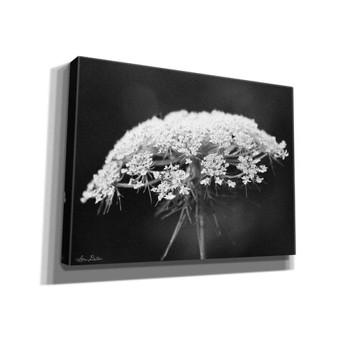 Image of 'Queen Anne's Lace' by Lori Deiter, Canvas Wall Art