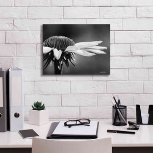'Coneflower' by Lori Deiter, Canvas Wall Art,16 x 12