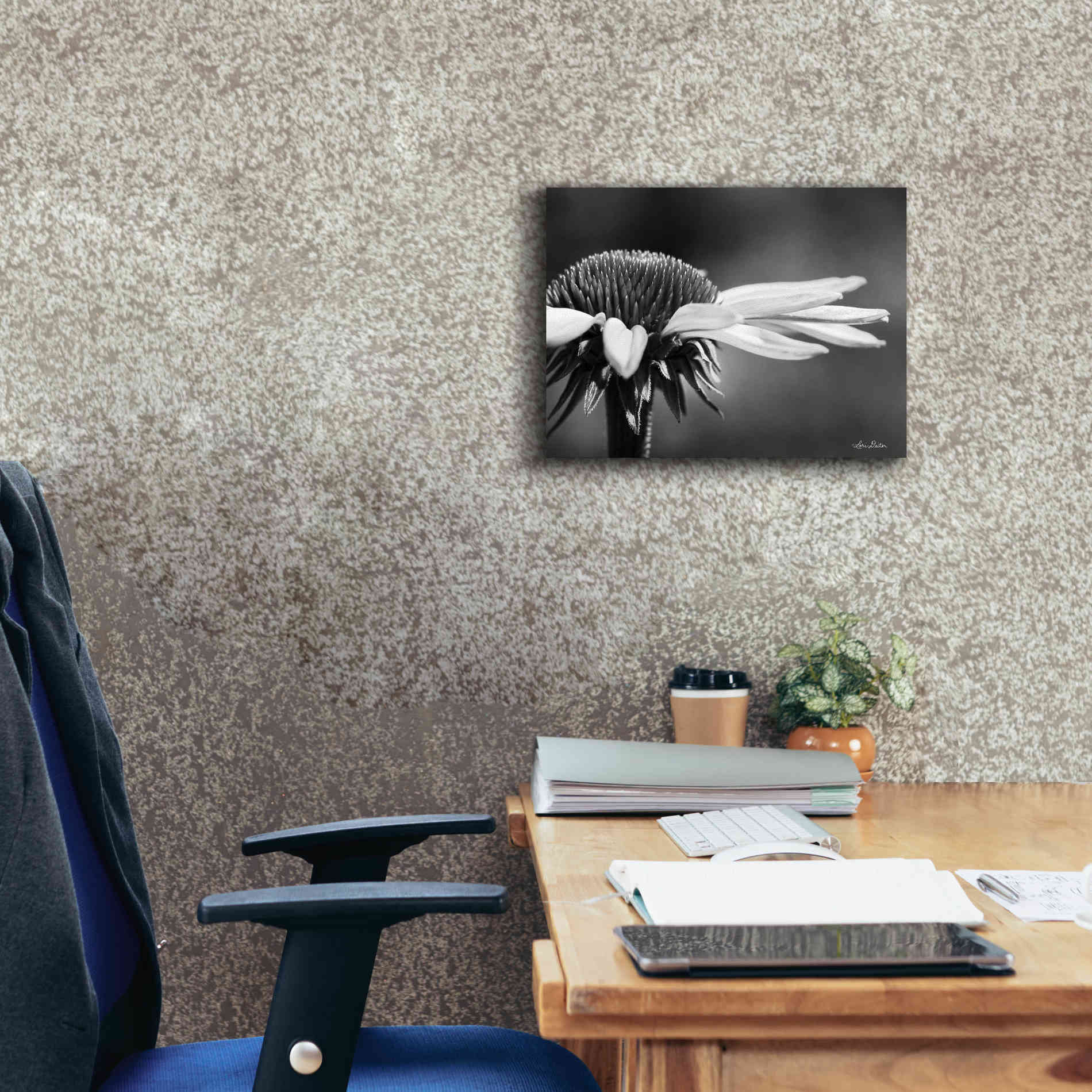 'Coneflower' by Lori Deiter, Canvas Wall Art,16 x 12