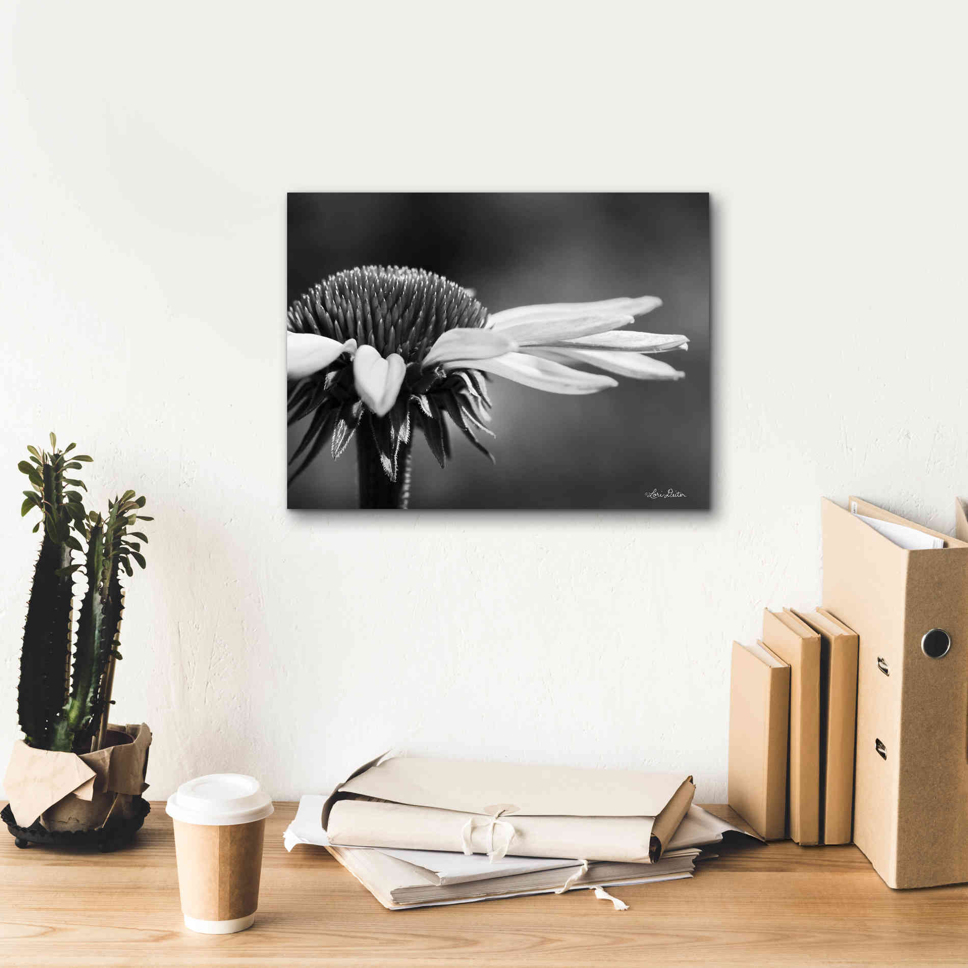 'Coneflower' by Lori Deiter, Canvas Wall Art,16 x 12