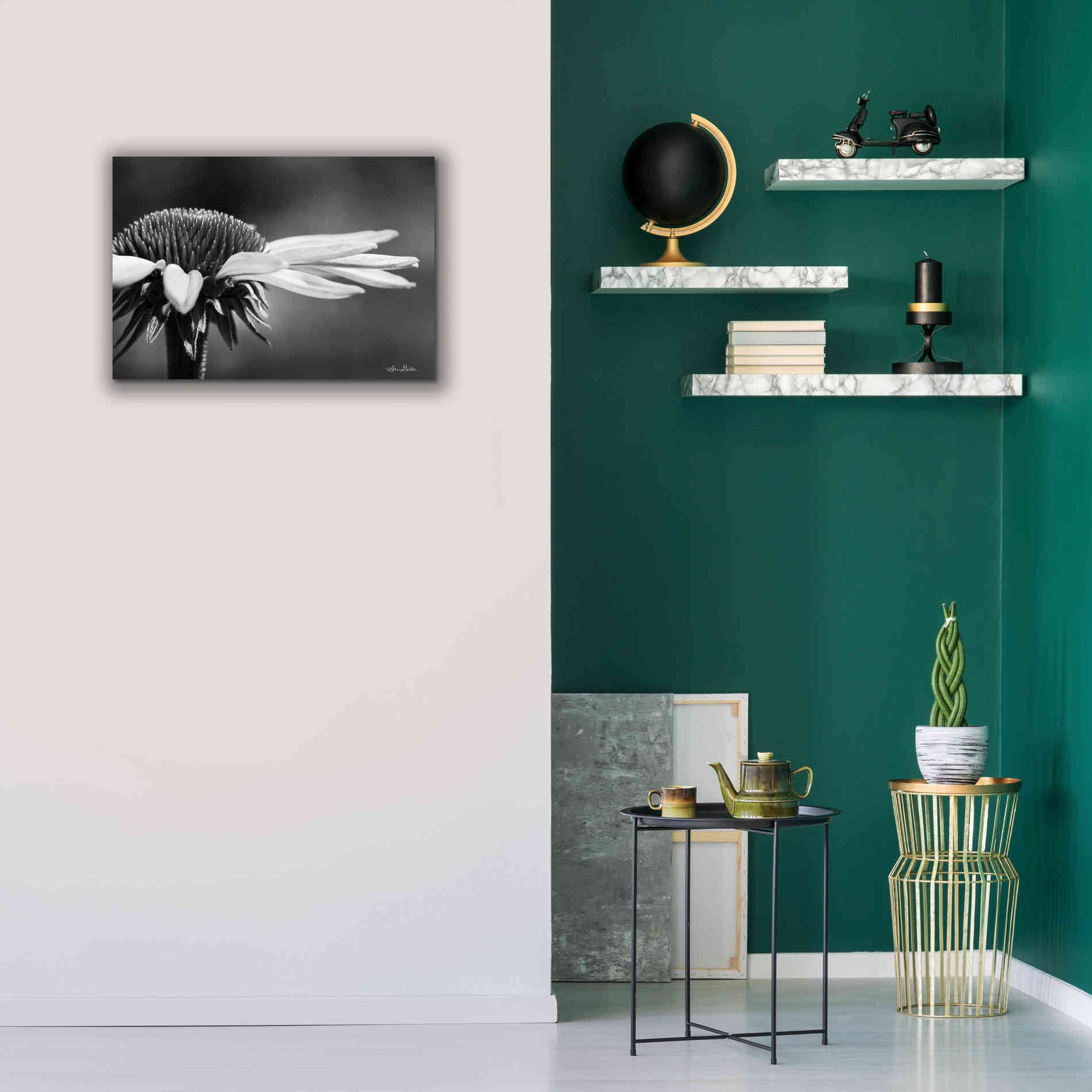'Coneflower' by Lori Deiter, Canvas Wall Art,26 x 18